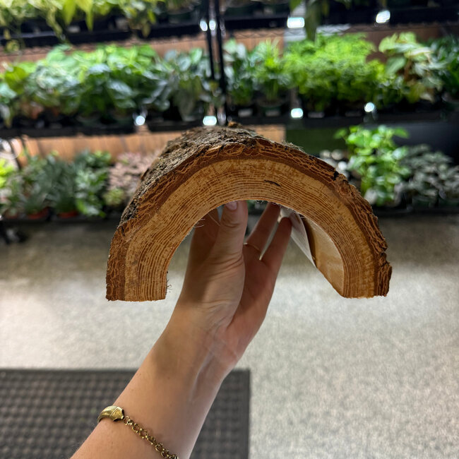 Zoo Med X-Large 9" Habba Hut Natural Half Log with Bark Shelter