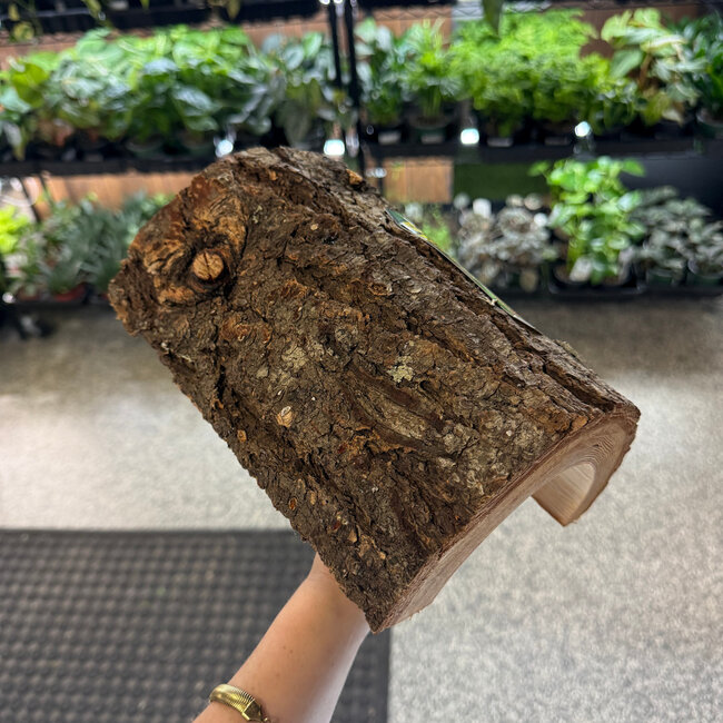 Zoo Med X-Large 9" Habba Hut Natural Half Log with Bark Shelter
