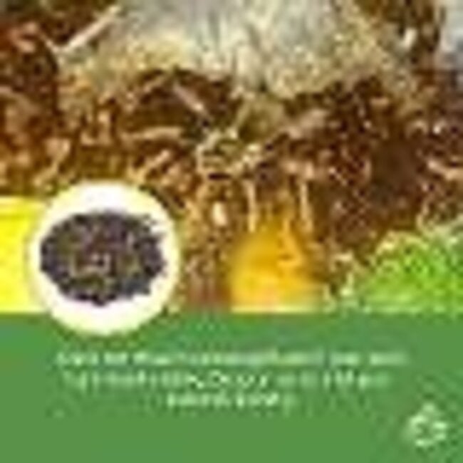 Josh's Frogs Arachnid BioBedding Bioactive Substrate - 2 quart