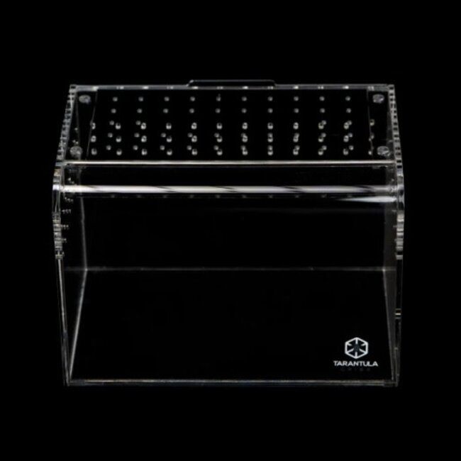 Terrestrial Curve Clear - Small 6"x4"x4" Tarantula Cribs