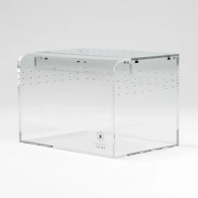 Terrestrial Curve Clear - Small 6"x4"x4" Tarantula Cribs