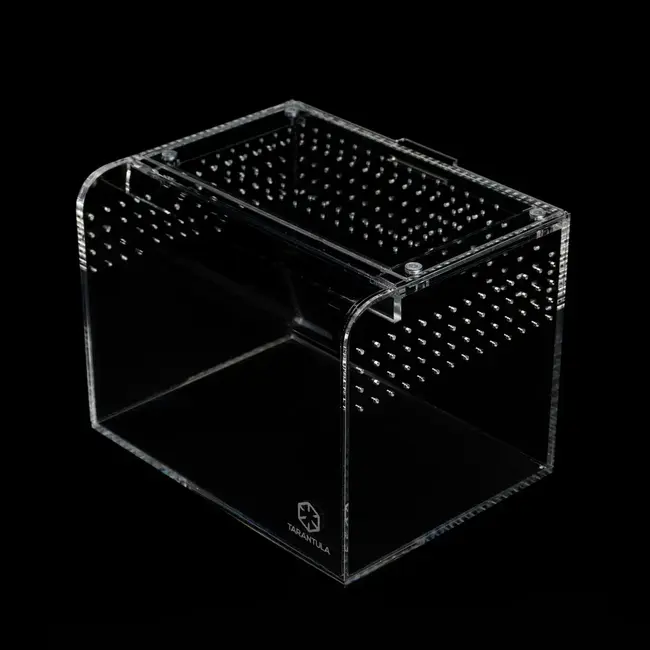 Terrestrial Curve Clear - Medium 8"x6"x6" Tarantula Cribs
