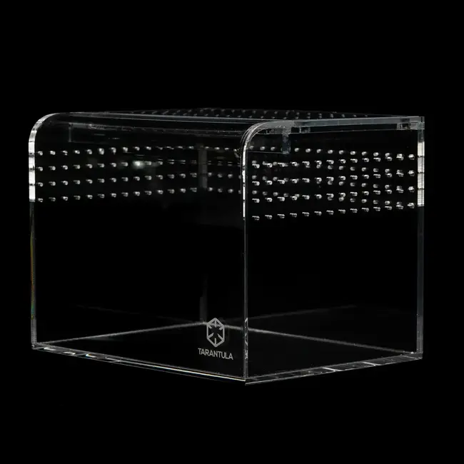 Terrestrial Curve Clear - Medium 8"x6"x6" Tarantula Cribs