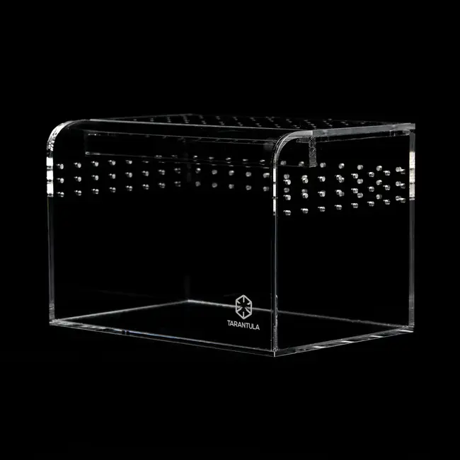 Terrestrial Curve Clear - Medium 8"x6"x6" Tarantula Cribs