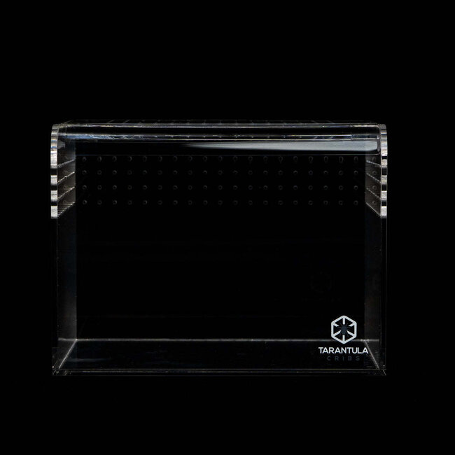Terrestrial Curve Clear - Medium 8"x6"x6" Tarantula Cribs