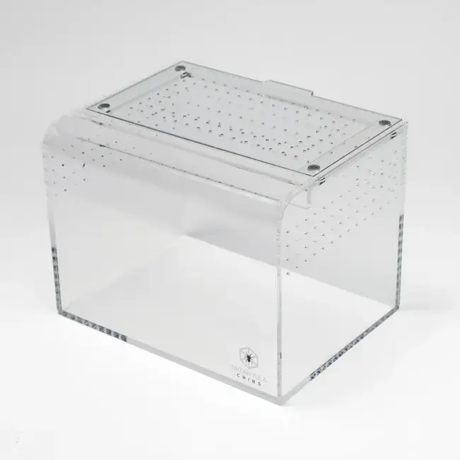 Terrestrial Curve Clear - Medium 8"x6"x6" Tarantula Cribs