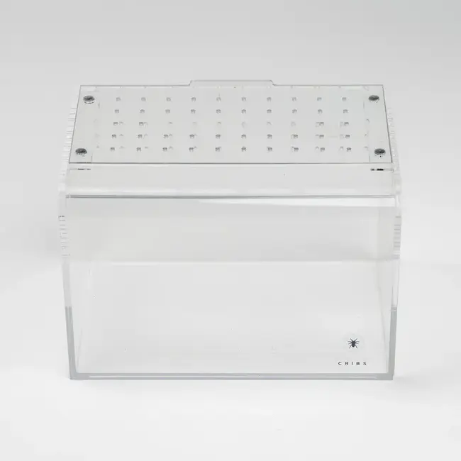Terrestrial Curve Clear - Medium 8"x6"x6" Tarantula Cribs