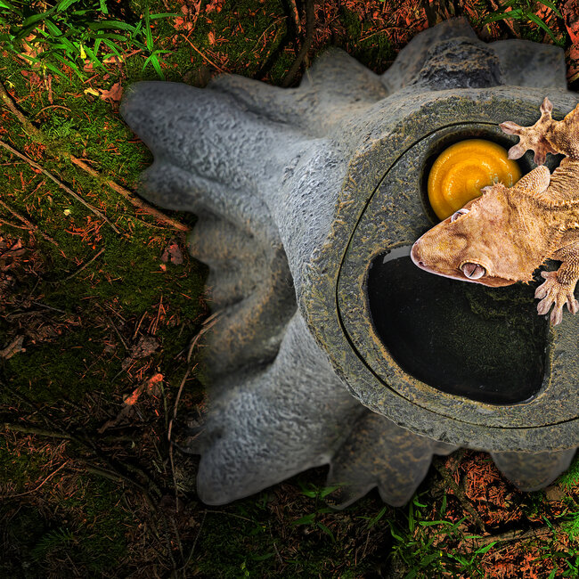 Exo Terra Gecko Tree Arboreal Hydration Shelter with Water & Feeding Hub 3 in 1