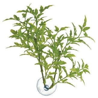 Zoo Med Zoo Med Plant Suction - Maple Leaf