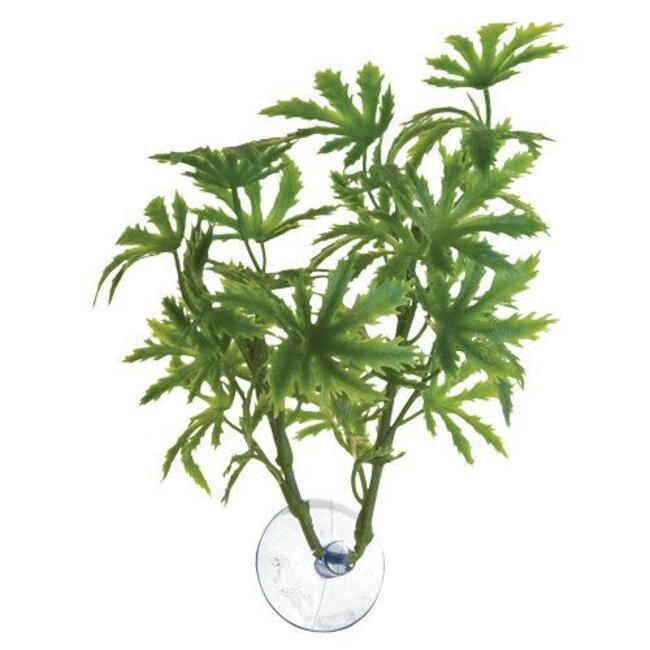 Zoo Med Plant Suction - Papaya