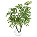 Zoo Med Zoo Med Plant Suction - Papaya