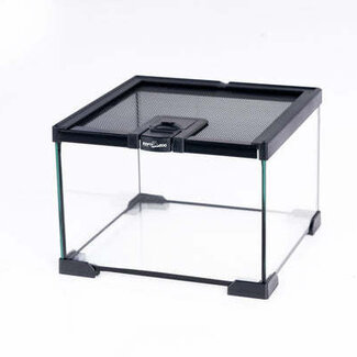 ReptiZoo Mini 8" x 8" x 6" Terrarium Glass