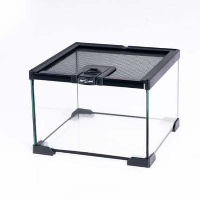 ReptiZoo Mini 8" x 8" x 6" Terrarium Glass