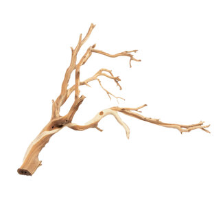 Ghostwood Thick 48" XX-Large