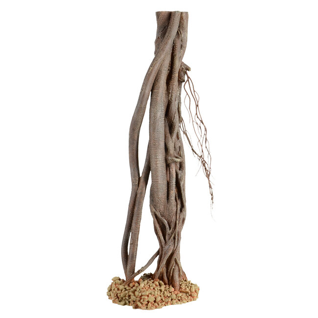 Mangrove Root - Decorations (sizes)