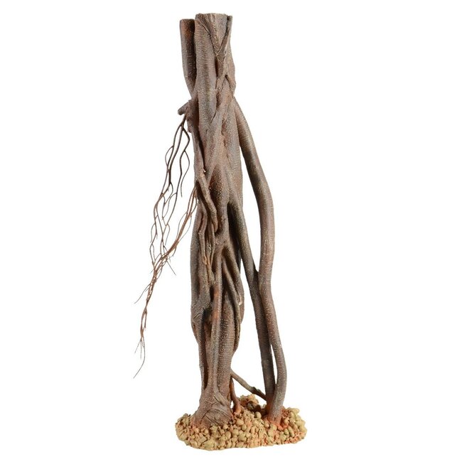 Mangrove Root - Decorations (sizes)