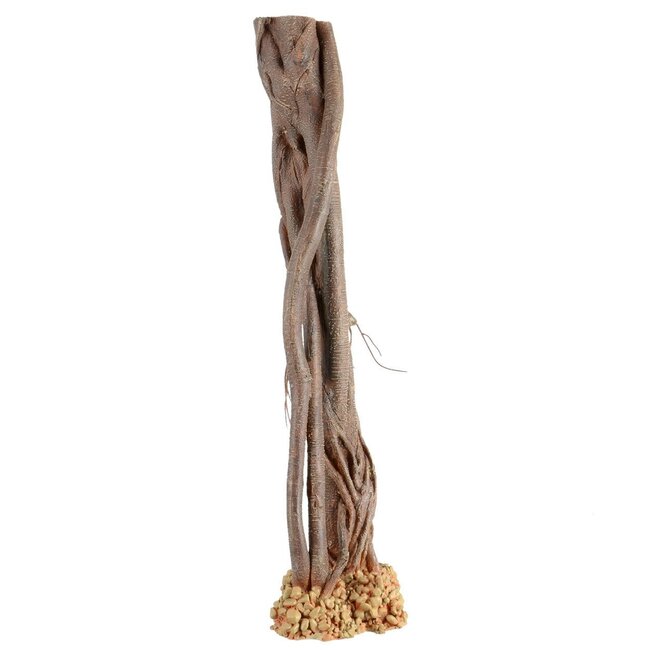Mangrove Root - Decorations (sizes)