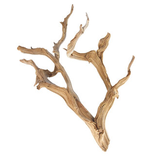 Ghostwood Thick 18-24" Large