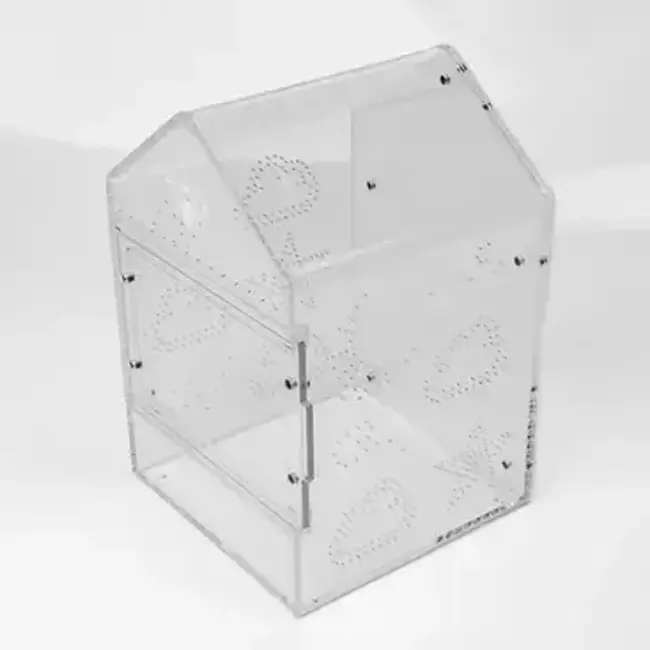 Canopy Enclosure 6''x6''x9'' BLUE Kat Dreams Tarantula Cribs