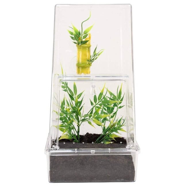 Zoo Med Bamboo With Leaves Creatures Decor