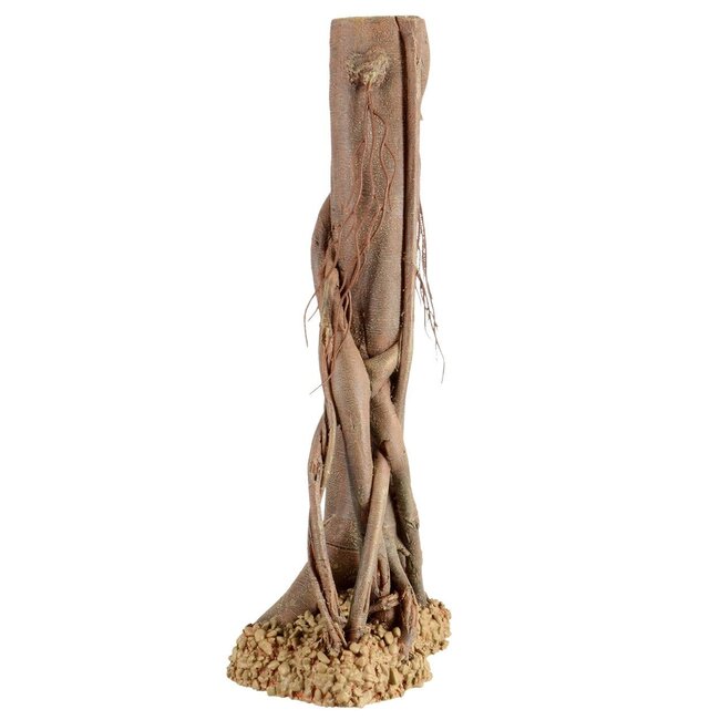 Mangrove Root - Decorations (sizes)
