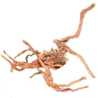 Spiderwood Root 12-18" Medium