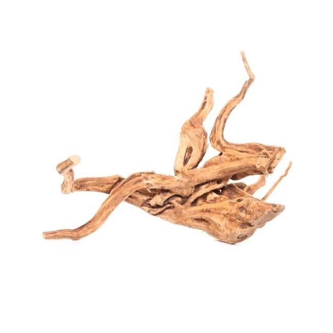Spiderwood Root 8-12" Small