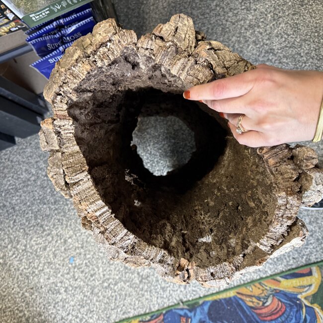 Cork Bark Tube Hollow Straight 19.4 LB