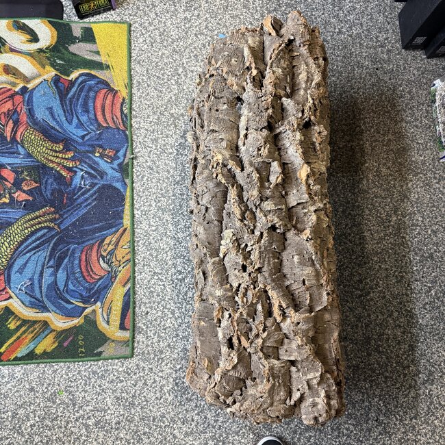 Cork Bark Tube Hollow Straight 19.4 LB