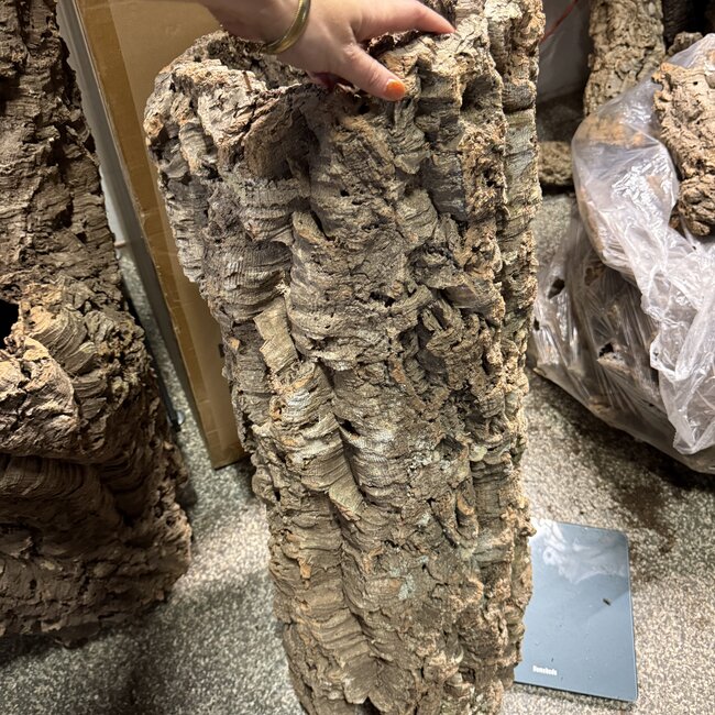 Cork Bark Tube Hollow Straight 19.4 LB