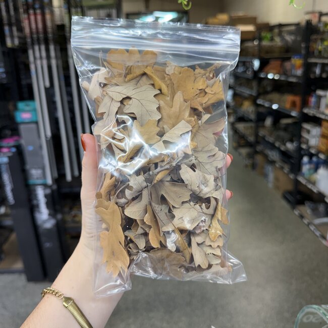 Oak Leaf 18g 6x9" Bag