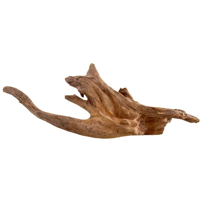Kapas Root - Medium 8-12"