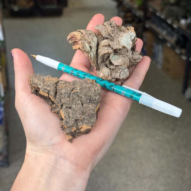 Mini Cork Bark 2 Pack