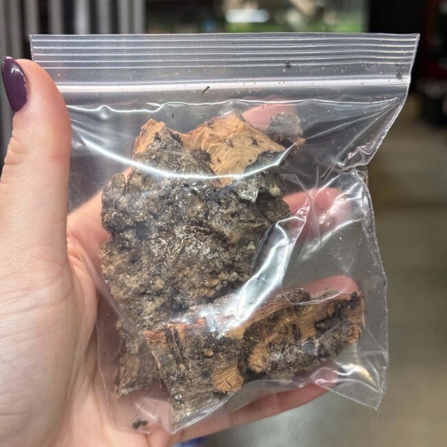 Mini Cork Bark 2 Pack