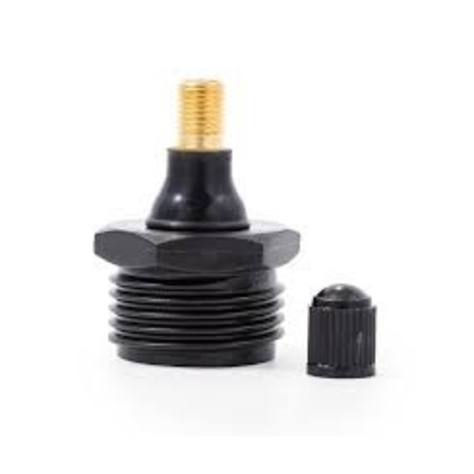 Camco Mfg., Inc. Blow Out Plug - Plastic w/ Valve, Black