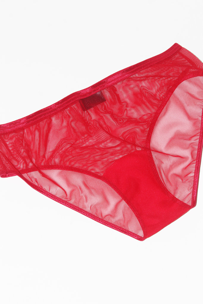 Stay Soft Stay Soft - Panty in Red Mesh