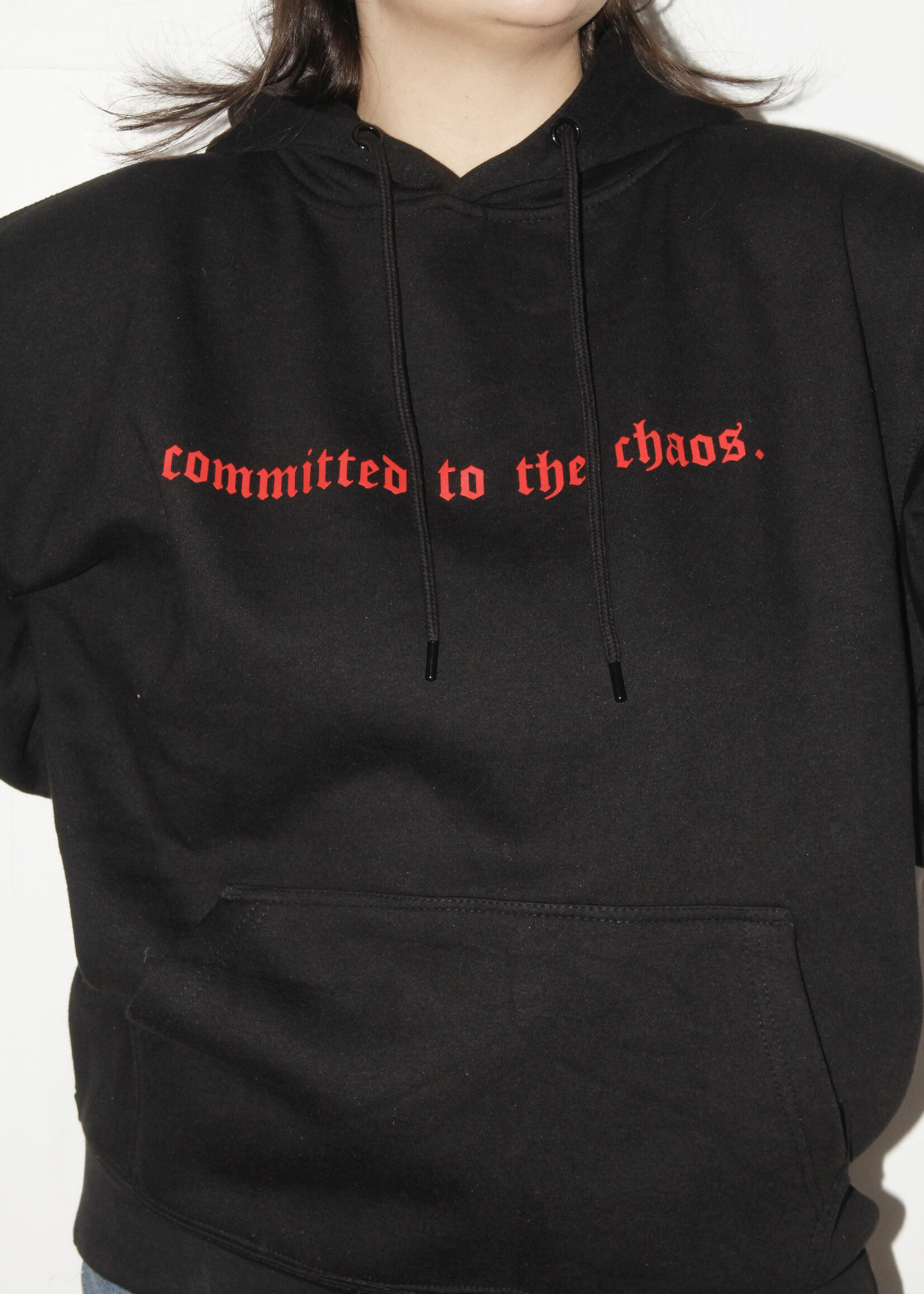 Sensitive Ass Fish Sensitive Ass Fish "Committed to the Chaos" Hoodie