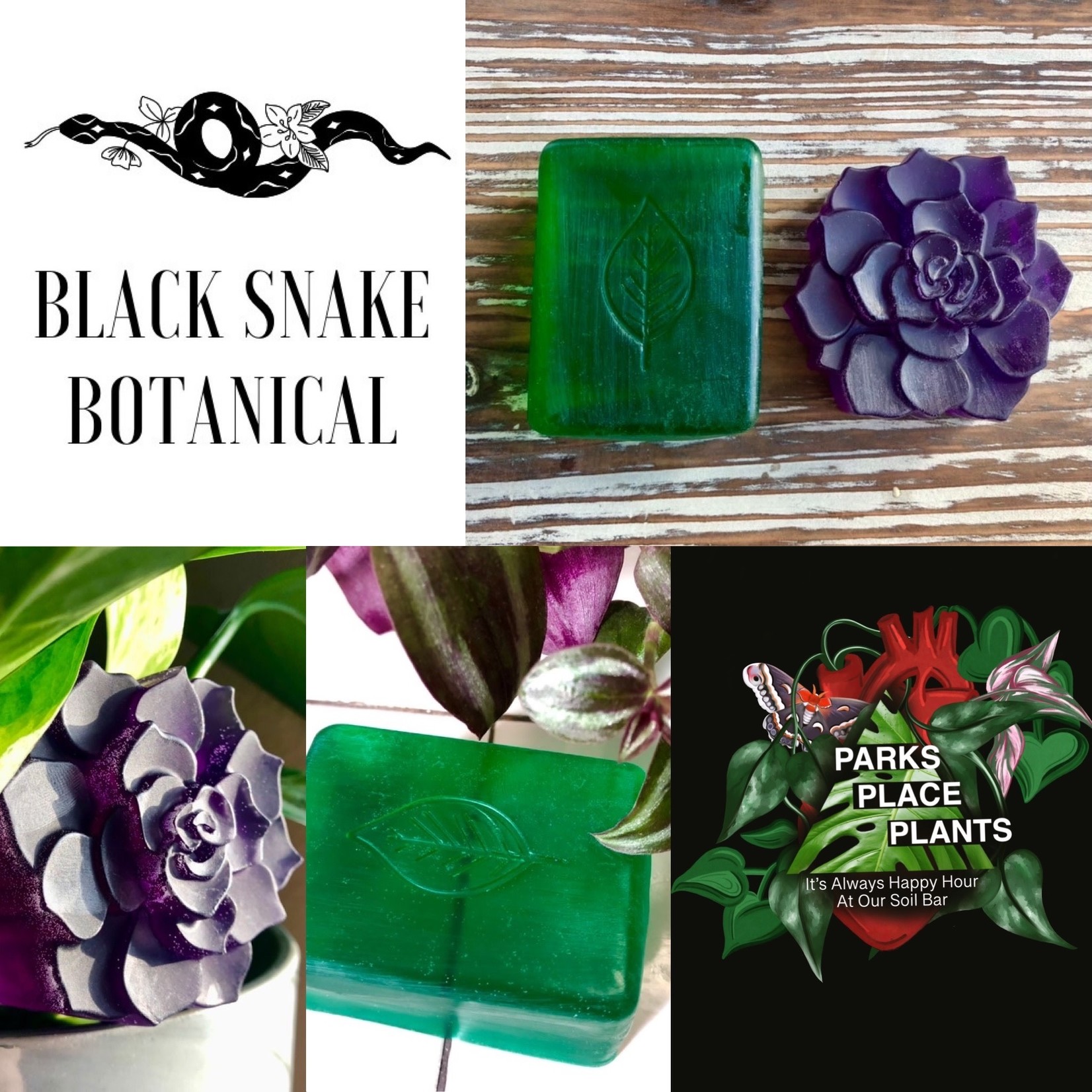 Soap making class  with Black Snake Botanical