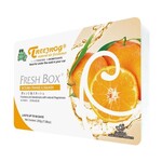 Treefrog Fresh Box - SATSUMA ORANGE & SQUASH