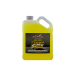 Car Candy Automotive Detail Products Car Candy Rug Clean Carpet Stain Remover (GAL)