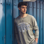 Chandail gris propriété