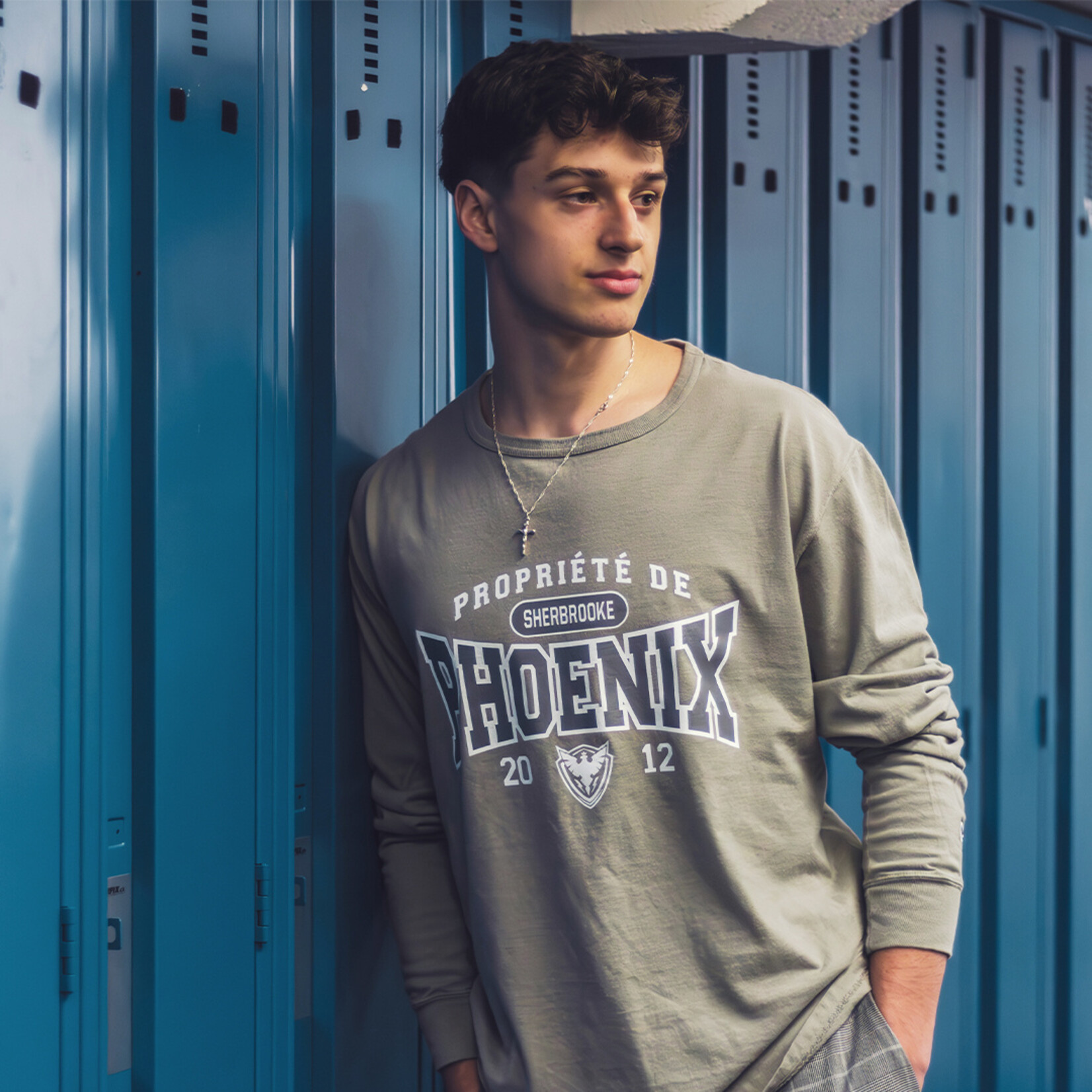 Chandail gris propriété