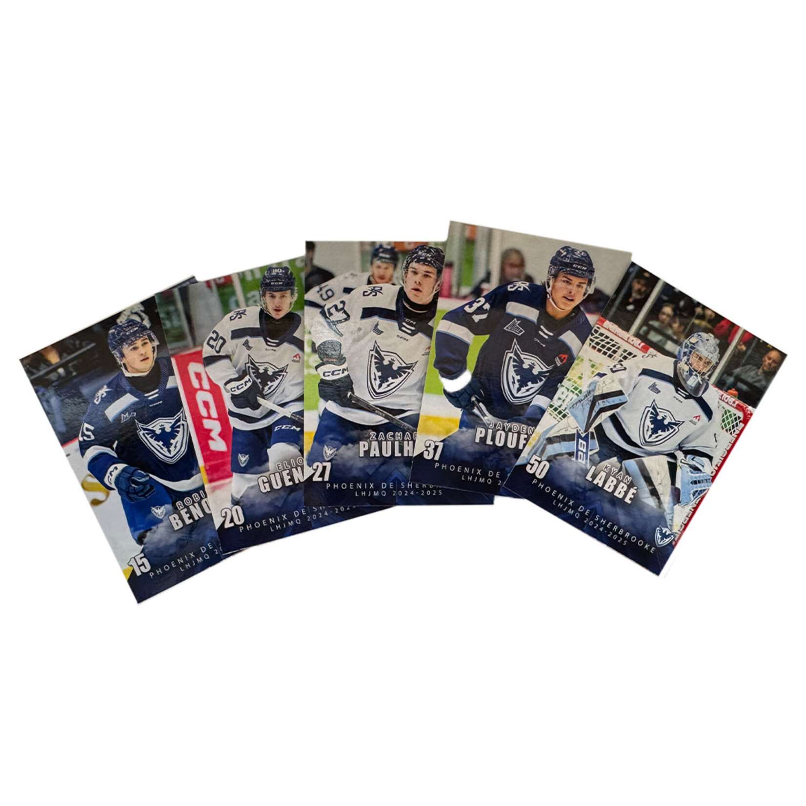 Extension - Cartes de hockey Phoenix 2024-2025
