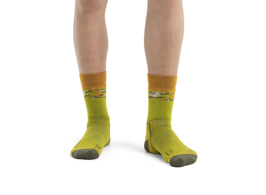 Icebreaker Men's Merino Hike+ Medium Crew Socks Sedimentary - Bio Lime/Loden  Large