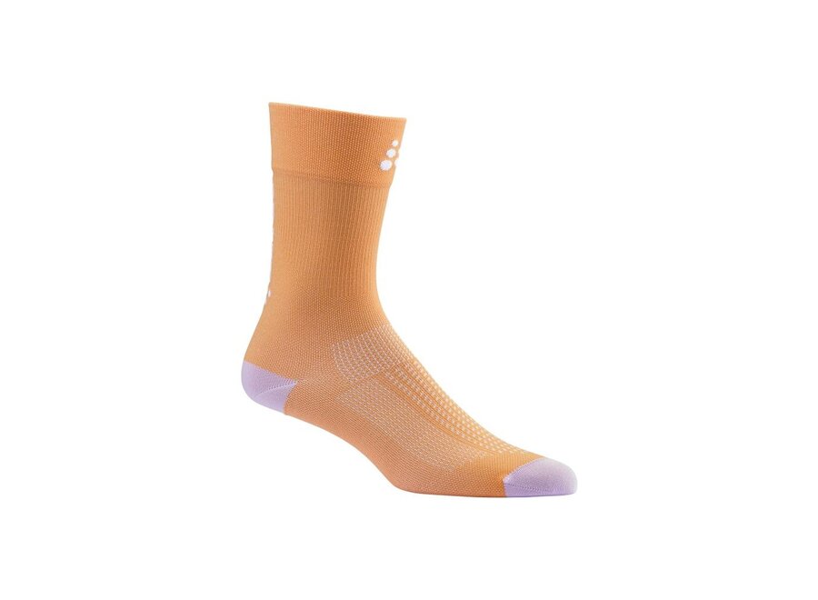 Craft Dry Endure Sock- Sour/white