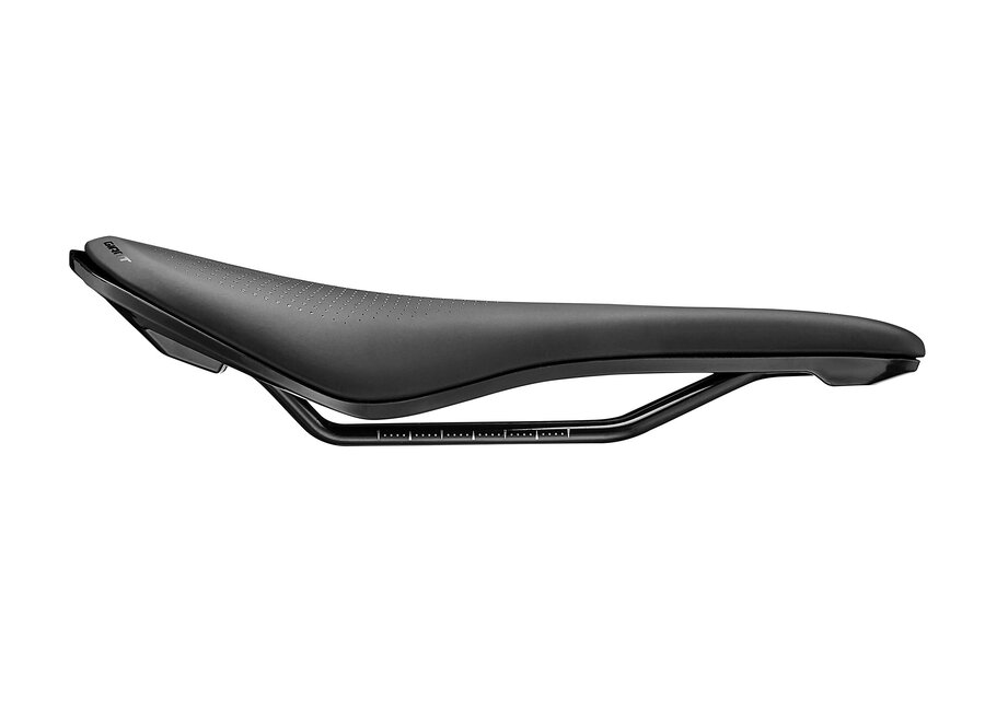 Giant Approach Saddle
