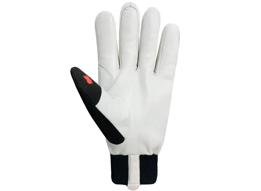 Auclair Stormi Men's Glove