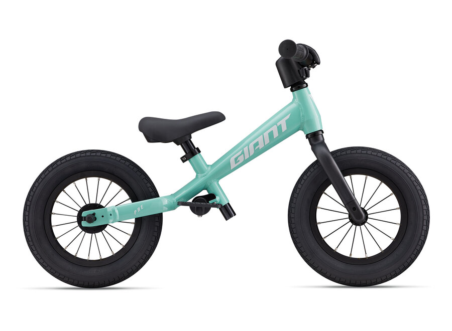 Giant Pre Push Bike