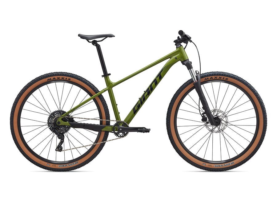 Talon 2 29er - Dried Motcha
