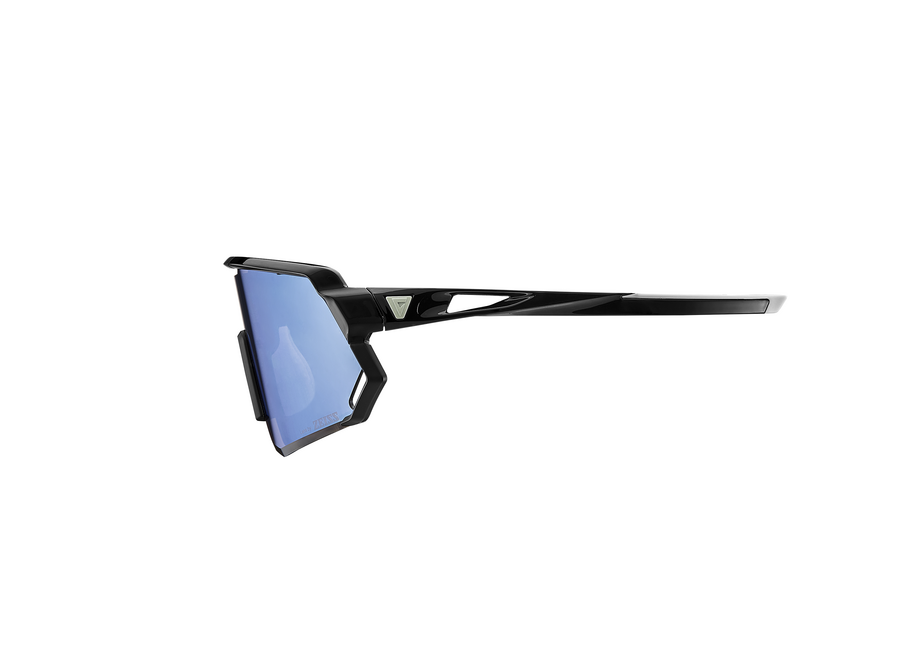 Giant Aurea Sunglasses - Black